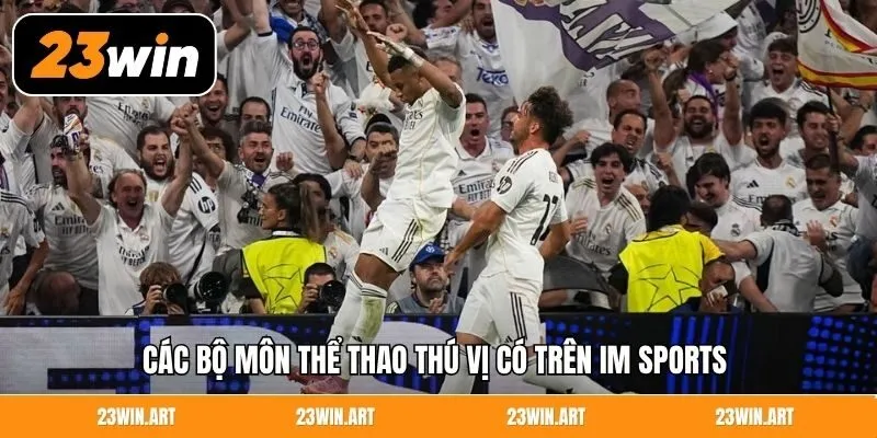 Các bộ môn thể thao thú vị có trên IM Sports 