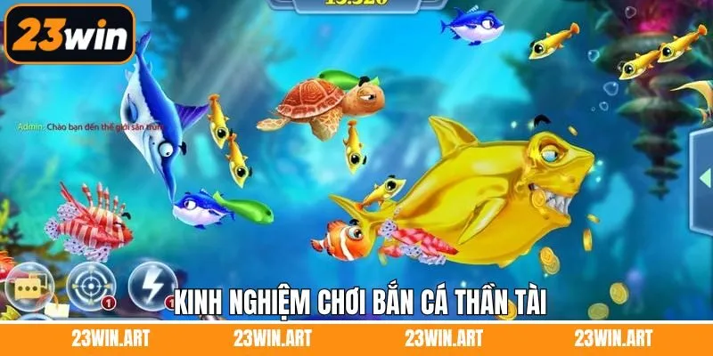 Chiến thuật tham gia săn cá Thần Tài cực kỳ lợi hại