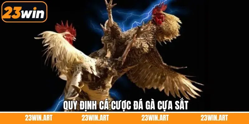Nguyên tắc khi chơi đá gà cựa sắt cần nắm vững