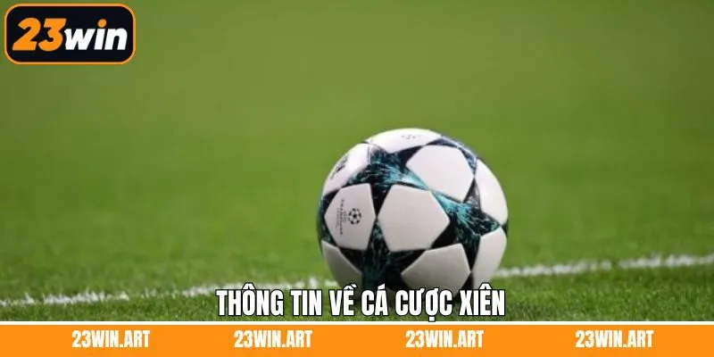 Tổng quan về kèo xiên trong cá độ bóng đá