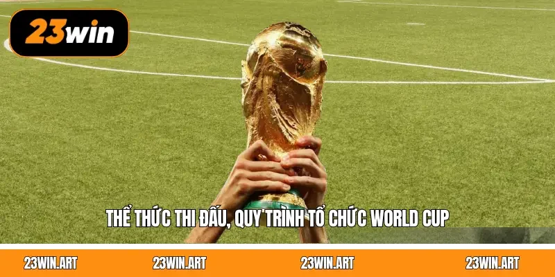 Thể thức thi đấu, quy trình tổ chức World Cup
