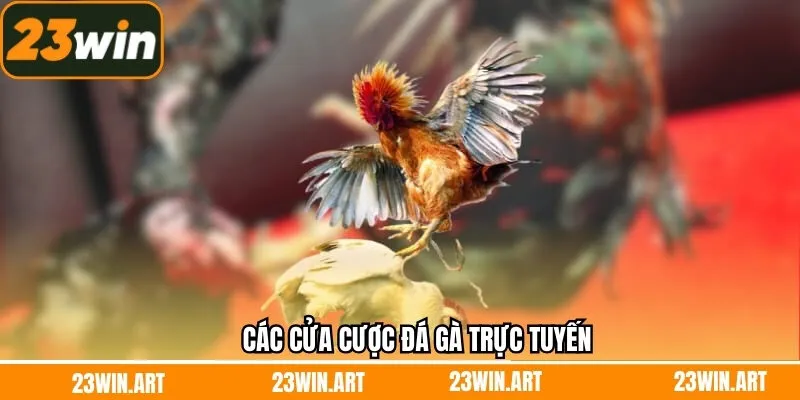 Các Cửa Cược Đá Gà Trực Tuyến Phổ Biến Nhất Tại 23Win