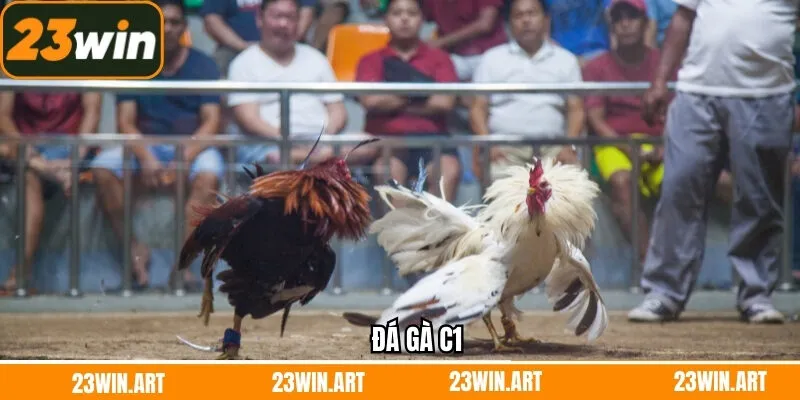 Đá Gà C1 - Giải Đấu Chiến Kê Cuốn Hút, Đỉnh Cao Tại 23Win