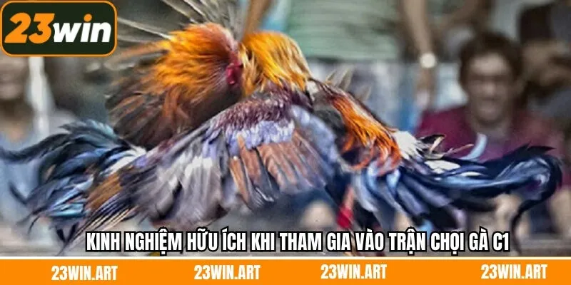 Kinh nghiệm hữu ích khi tham gia vào trận chọi gà C1