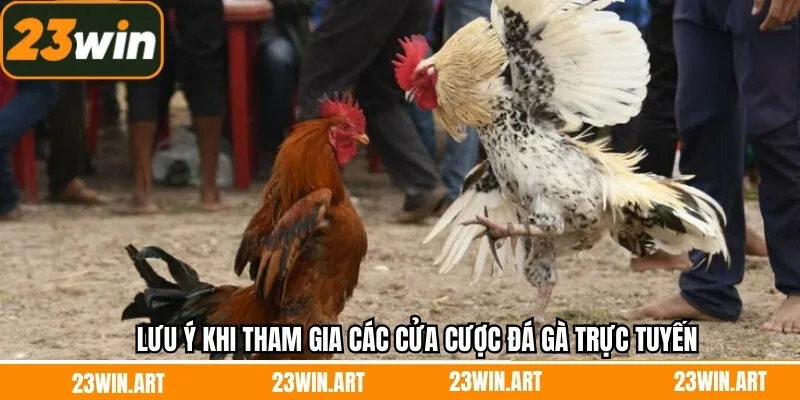 Các cửa cược đá gà trực tuyến cùng các lưu ý nhỏ