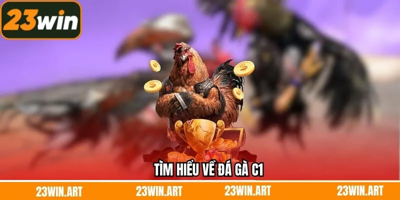 Tìm hiểu về đá gà C1