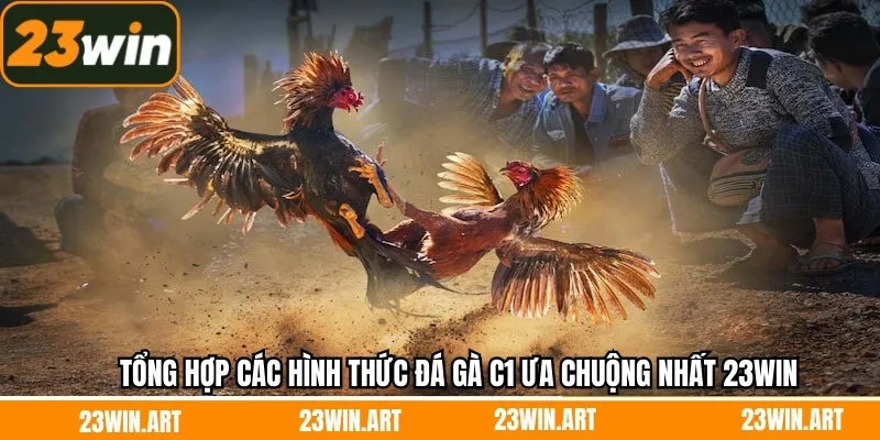 Tổng hợp các hình thức đá gà C1 ưa chuộng nhất 23Win